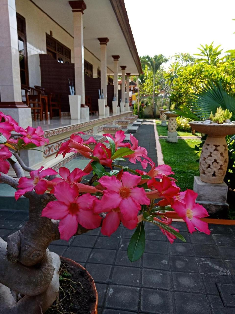 Frangipani Homestay Нуса Дуа Екстериор снимка